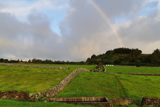 Half-Day Farm Visit and Cow Milking Experience - Booking Information