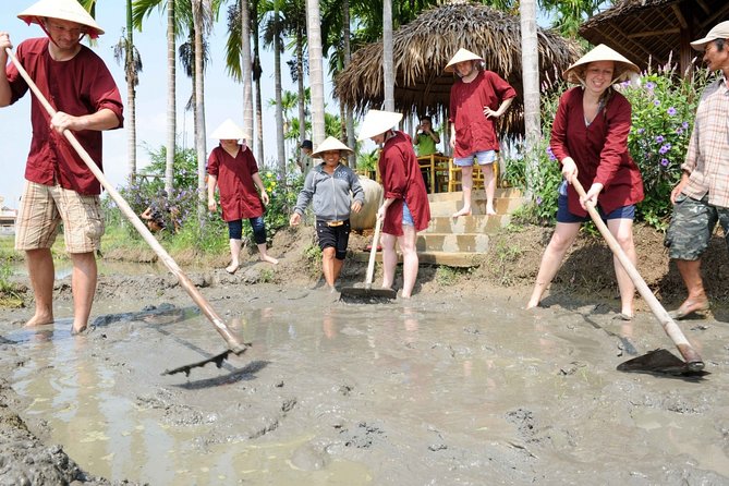 Half-Day Farming Life With Wet Rice From Hoi an - Interacting With Local Farmers