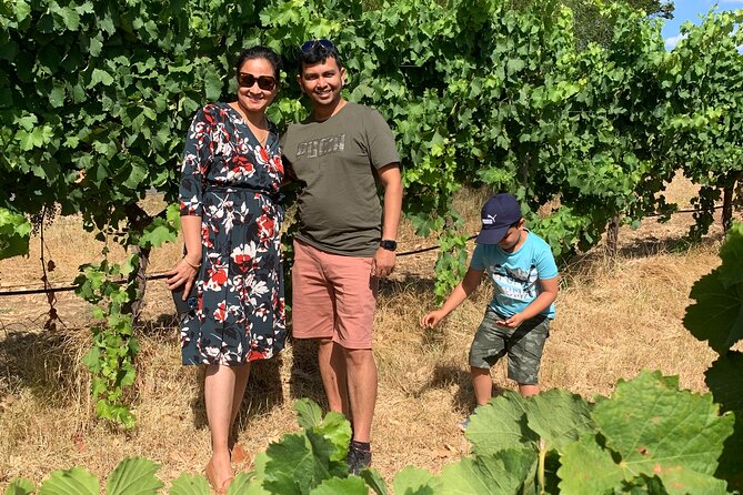 Half-Day Ferguson Valley Wine and Beer Tour  - Bunbury - Common Questions