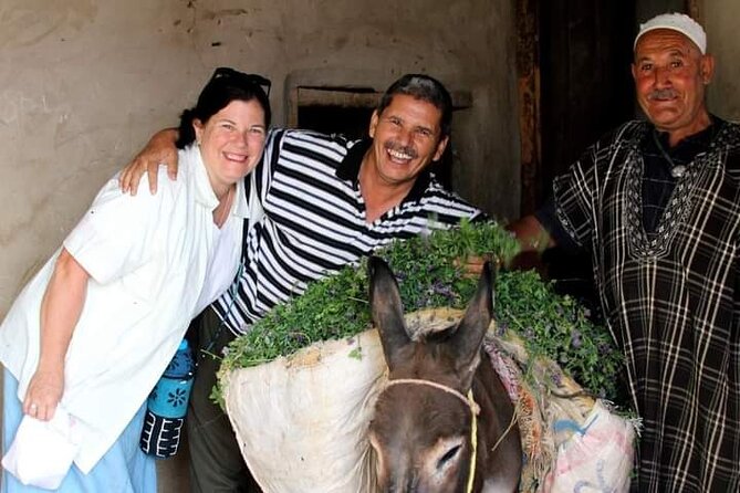 Half Day Fez Guided Cultural Tour at the Heart of Morocco - Traveler Experiences