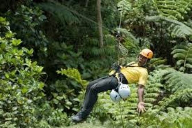 Half Day Fiji Zip-Line Tour at Pacific Harbour - Tour Details and Inclusions