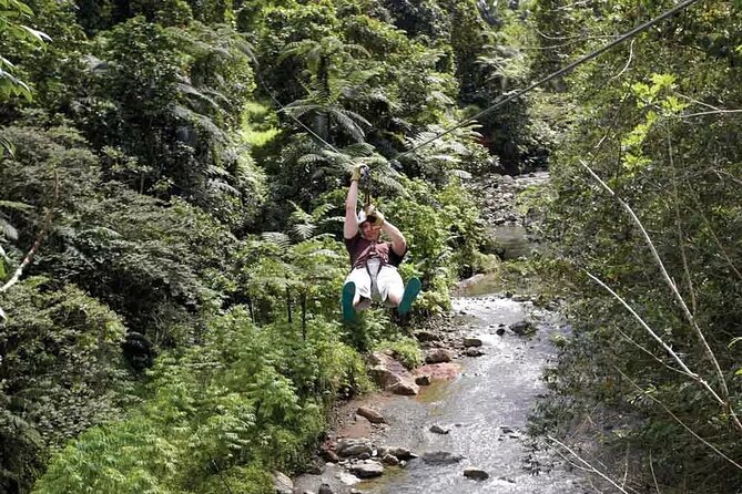 Half Day Fiji Zip-Line Tour at Pacific Harbour - Contact Information and Product Code