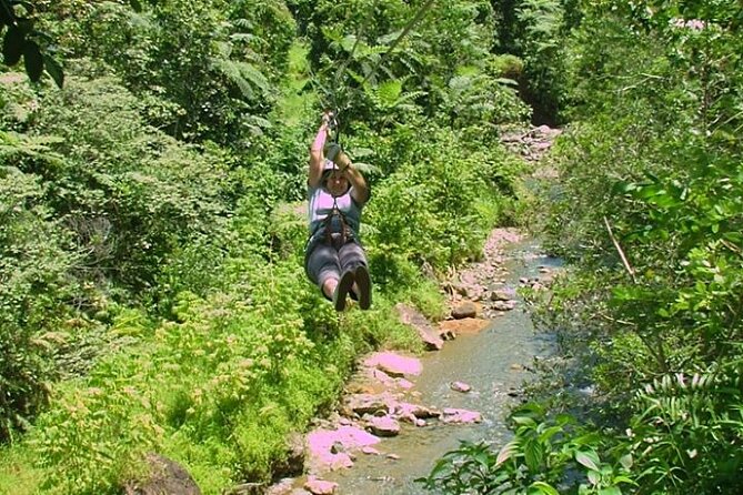Half Day Fiji Zip-Line Tour at Pacific Harbour - The Sum Up