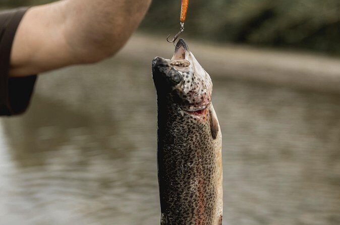 Half Day Fishing Adventure - Why This Tour Works for Different Travelers