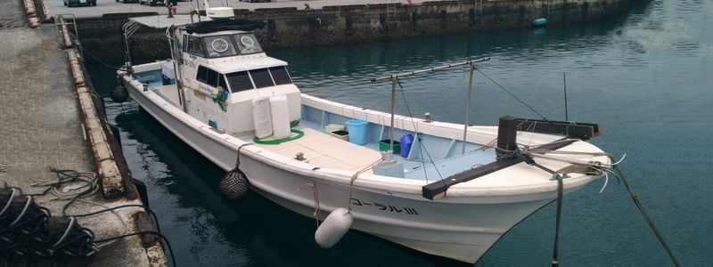 Half-Day Fishing Experience in Naha with Pick up & Drop off Service - From Naha port to the fishing grounds