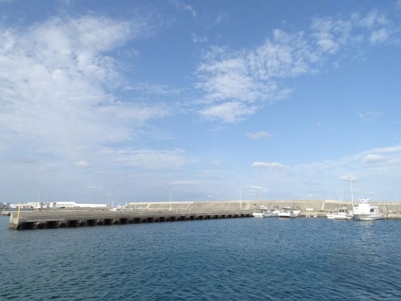 Half-Day Fishing Experience in Naha with Pick up & Drop off Service - Learning a simple fishing method