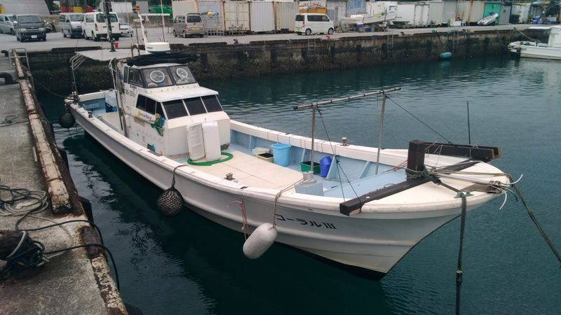 Half-Day Fishing Experience in Naha with Pick up & Drop off Service - Who should go, and who should skip it