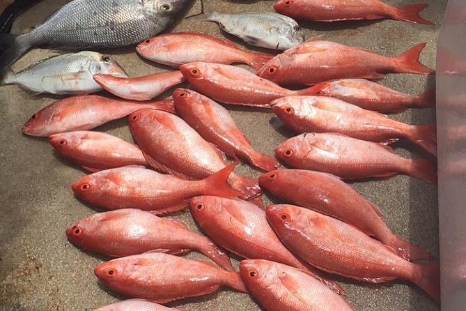 Half-Day Fishing Trip in Fort Lauderdale - Pricing and Value