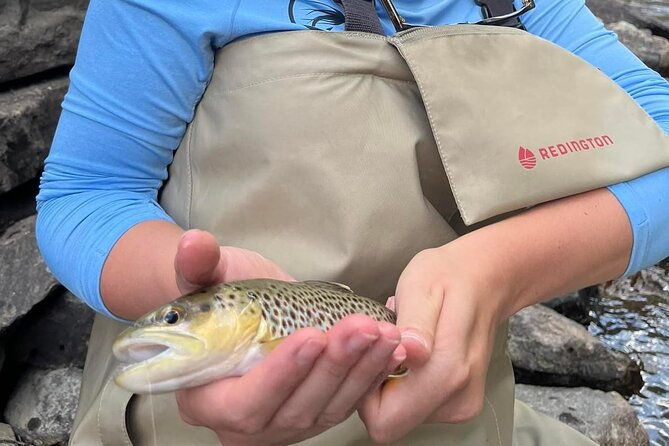 Half Day Fly Fishing Lesson on Clear Creek near Denver - Who Will Love This Tour?