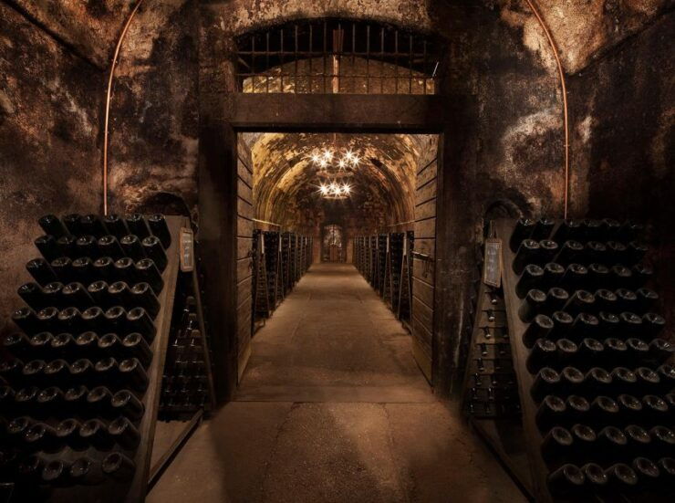 Half-Day Food and Wine Experience in Franciacorta - Experience