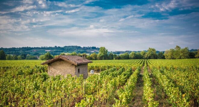 Half-Day Food and Wine Experience in Franciacorta - Customer Reviews