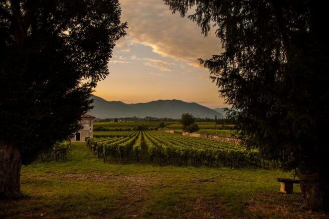 Half-Day Food and Wine Experience in Franciacorta - Highlights