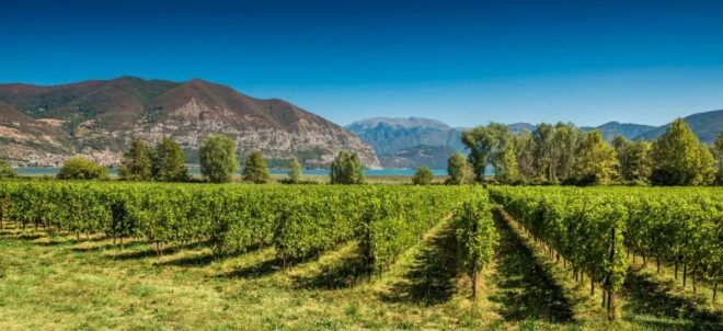Half-Day Food and Wine Experience in Franciacorta - Important Information