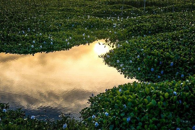 Half-day FOODIE TOUR BY BICYCLE & VISIT TRA QUE VEGETABLE VILLAGE - Cancellation Policy