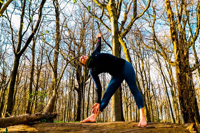 Half-day Forest Bathing and Yoga in Brightons Woodlands - The Sum Up
