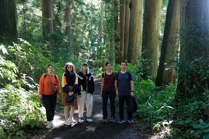 Half Day Forest Bathing in Hakone Geopark - Meeting Point and End Point Information
