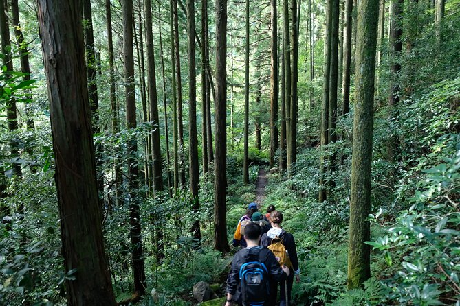 Half Day Forest Bathing in Hakone Geopark - Essential Additional Tour Details