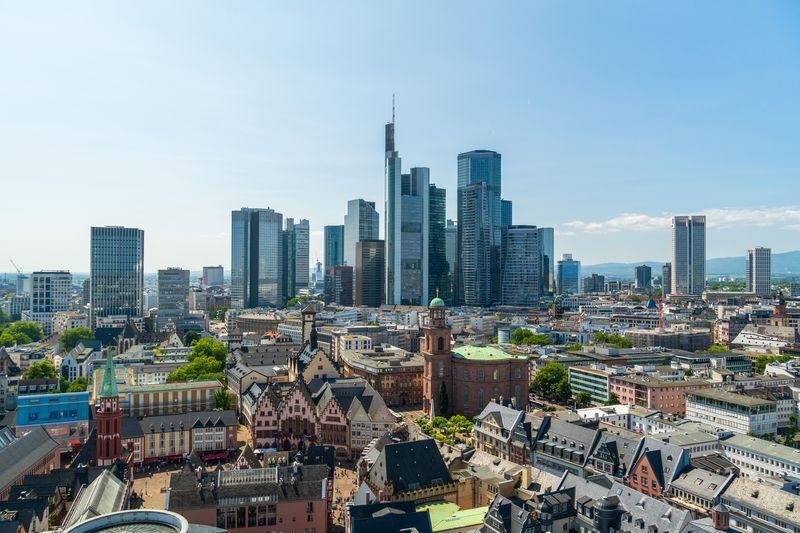 Half-Day Frankfurt Private Sightseeing Tour - Choose your optional stop: skyline, garden or Goethe