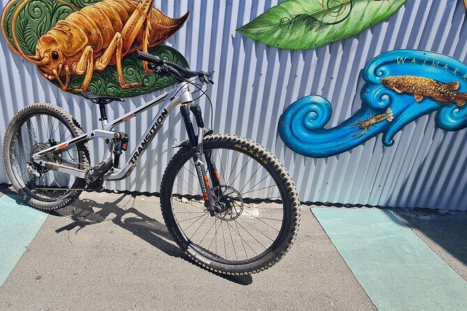 Half Day Full Suspension Acoustic Mountain Bike Rental - Good To Know