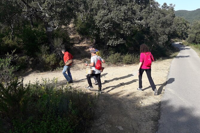 Half Day Gastronomic Wild Walk in Girona - Gironas Culinary Delights
