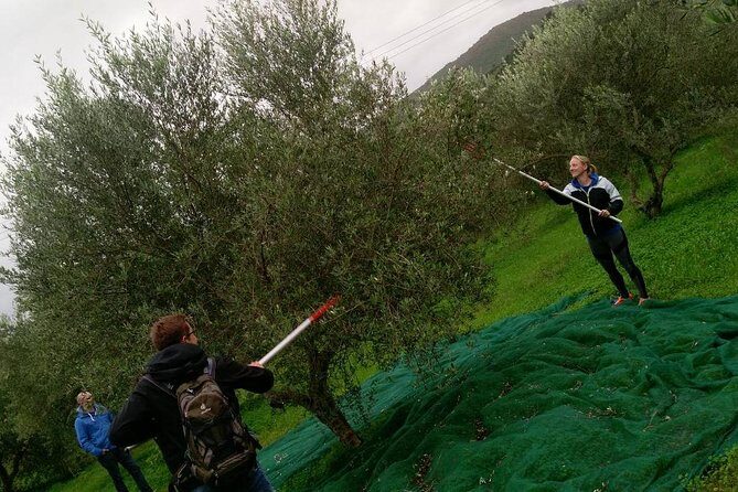 Half-Day Georgioupolis Off-Road Adventure with Meal - Good To Know