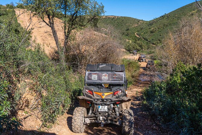 Half Day Getaway Buggy Tour - Tips for a Memorable Buggy Tour Experience