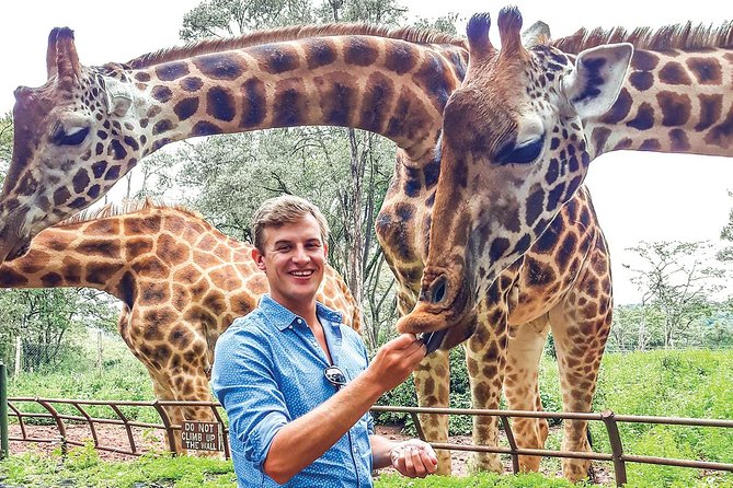 Half Day Giraffe Center Nairobi - Additional Information