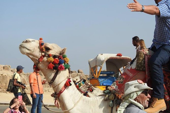 Half Day Giza Pyramids With Camel-Riding - Good To Know