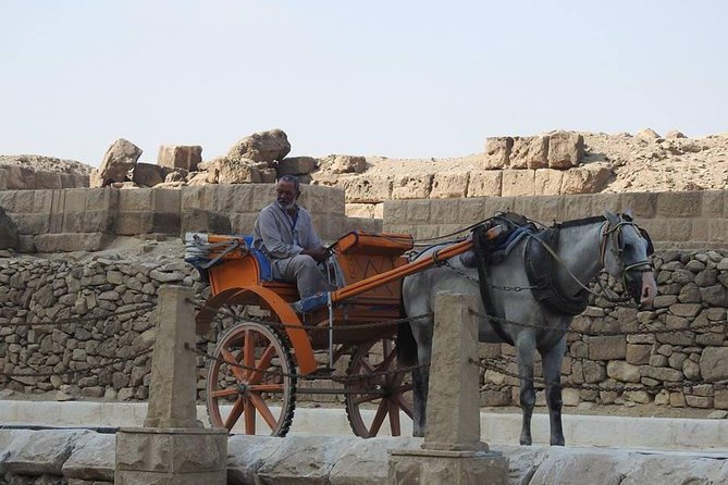 Half Day Giza Pyramids With Camel-Riding - What to Expect