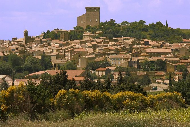 Half Day Great Vineyard Tour From Avignon - Mixed Reviews and Suggestions for Improvement
