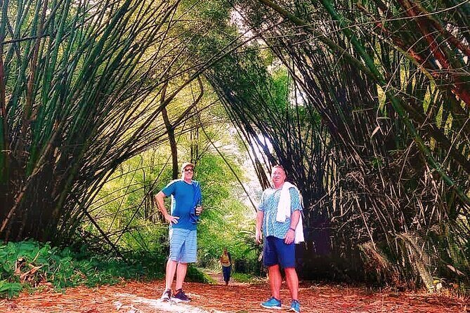 Half Day Group Tour to Tobago Atlantic Coast - Final Thoughts