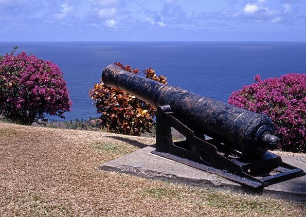 Half Day Group Tour to Tobago Atlantic Coast - Tour Duration and Logistics