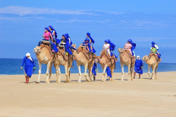 Half Day Guided Camel Safari in Cabo San Lucas - Half Day Guided Camel Safari in Cabo San Lucas: A Balanced Look at an Adventure with Flavors