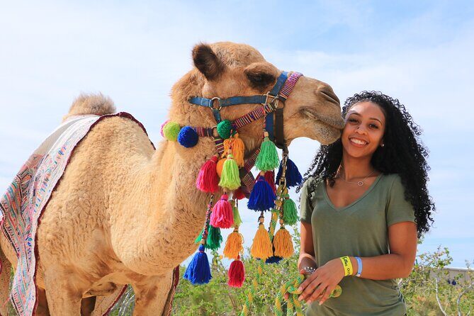 Half Day Guided Camel Safari in Cabo San Lucas - Who Should Consider This Tour?