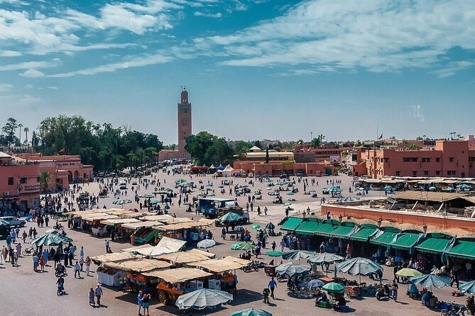 Half-Day Guided City Tour of Marrakech - What To Expect
