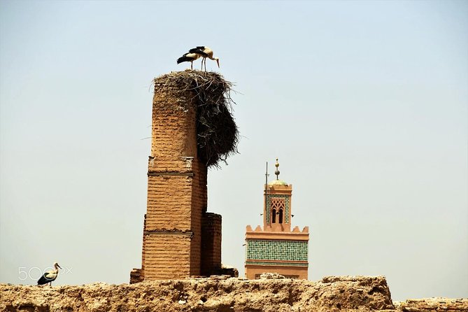 Half Day Guided Citytour of Marrakesh - Good To Know