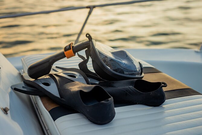 Half Day Guided Dolphin Watching & Snorkelling Experience CR - Meeting and Pickup Details