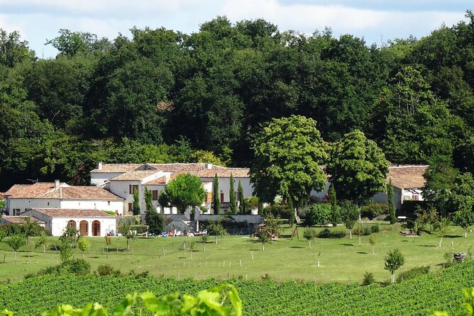 Half-day Guided E-Bike Ride to Discover The Cognac Vineyard - Additional Information and Help Center