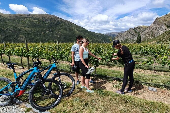 Half-Day Guided Ebike Wine Tour Queenstown to Gibbston - Tour Highlights