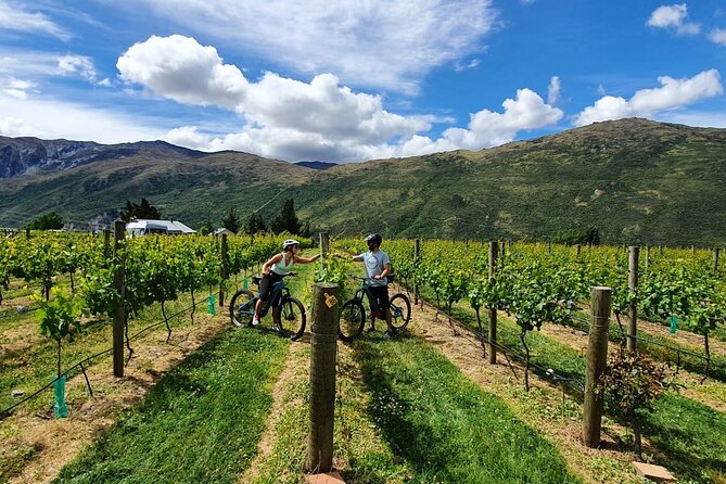 Half-Day Guided Ebike Wine Tour Queenstown to Gibbston - Wine Tasting Experience