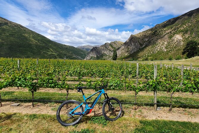 Half-Day Guided Ebike Wine Tour Queenstown to Gibbston - Scenic Bike Ride