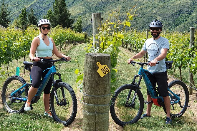 Half-Day Guided Ebike Wine Tour Queenstown to Gibbston - The Sum Up