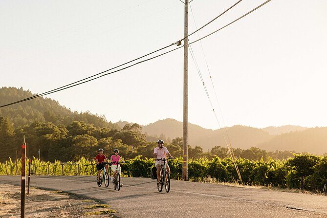 Half Day Guided Electric Bike Wine Tasting Tour with Lunch - An Adventure in the Heart of Sonoma’s Vineyards
