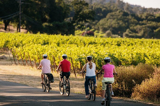 Half Day Guided Electric Bike Wine Tasting Tour with Lunch - The Value of This Tour