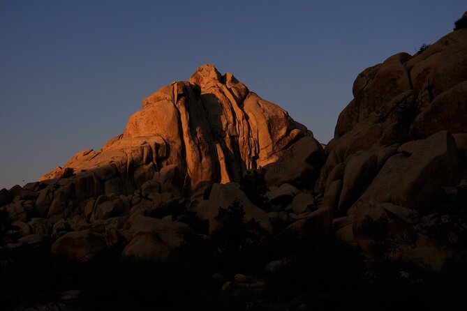 Half-Day Guided Hike in Joshua Tree National Park - Personalized Experiences for All Participants