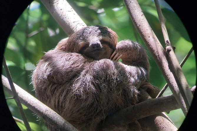 Half Day Guided Hiking at Manuel Antonio National Park - Meeting Information