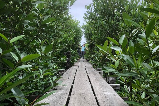 Half-Day Guided Kampot Countryside Tour With Pick up - Tour Duration and Pick-up Details
