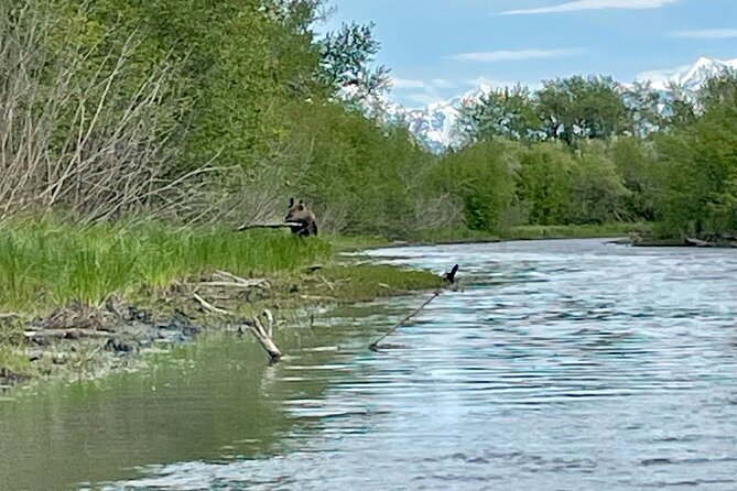 Half-Day Guided Kayak Tour on Knik River - Traveler Photos