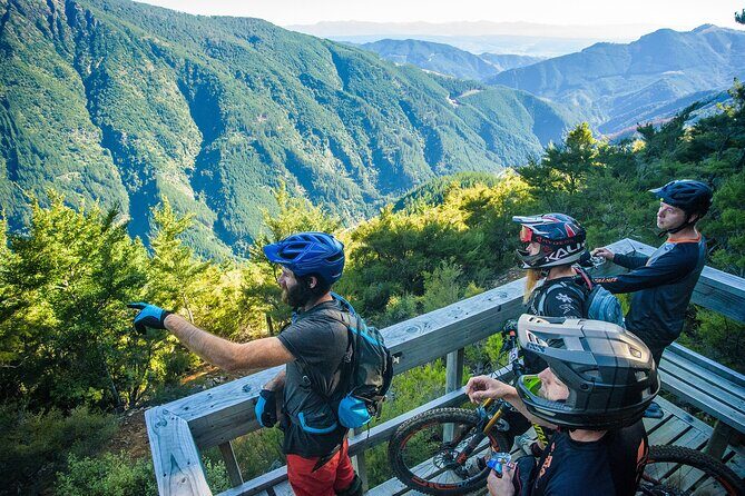Half Day Guided Mountain Biking Adventure in Nelson - A Closer Look at the Experience