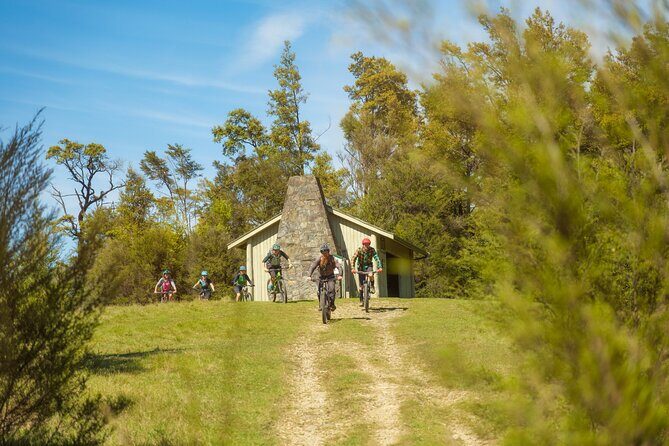 Half Day Guided Mountain Biking Adventure in Nelson - What Reviewers Say